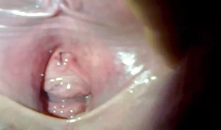 Thêm thu nhập một gai nhat xnxx hậu