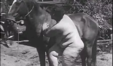 Hài lòng bạn sex nhật xnxx trai của cô trên ghế