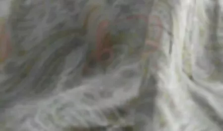 Cuộc sống gia video sex hay nhat đình pha loãng với dịch vụ của một cô gái mại dâm