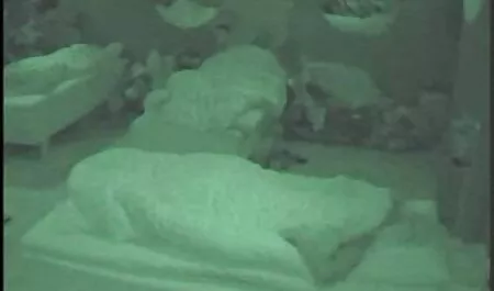 Đồ Thua cuộc mở cửa cho tất cả video phim sex nhật bản