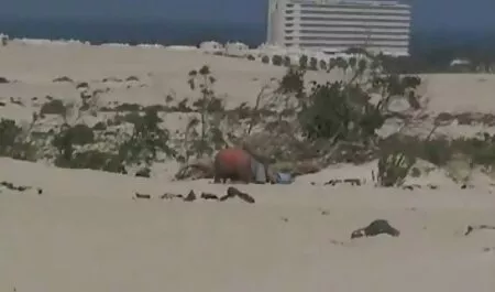 Một gái xnxx hay nhat điếm, giải trí một màu đen với một người da đen