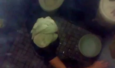 Marina, bếp, xnxx gai xinh nhat ban