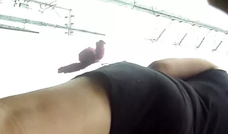 Jane Yêu lớn xxxvideo nhatban